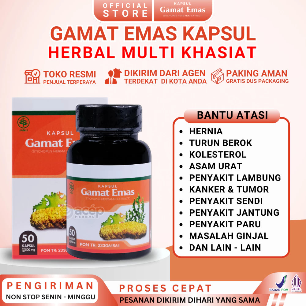Gamat Emas kapsul Asli 100% Original Isi 50 Kapsul Obat Herbal Hernia Varikokel Turun Berok Kolesterol Asam Urat Rematik Darah Tinggi Hipertensi Diabetes Batuk Sesak Nafas Asma Nyeri Sendi Asam Lambung Maag Batu Ginjal Gatal Scabies Miom Kista Liver